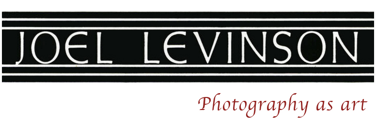 new-Joel-Levinson-photographer-logo-big